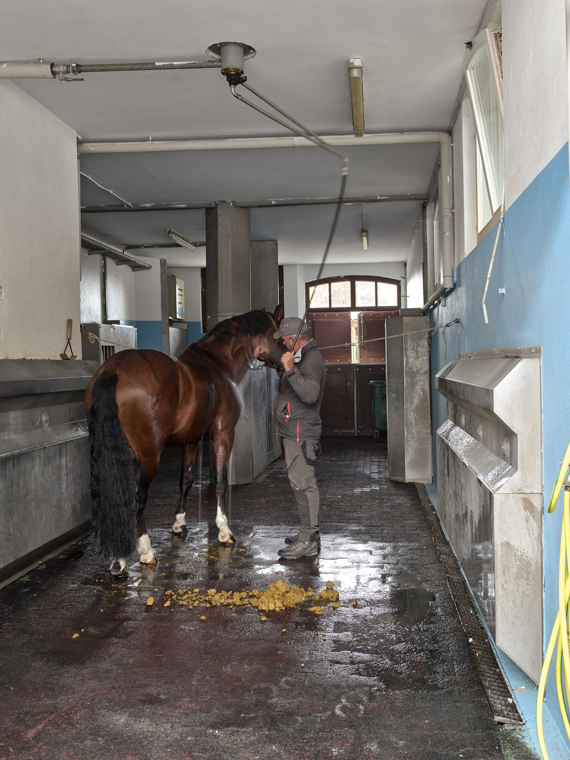 Haras National